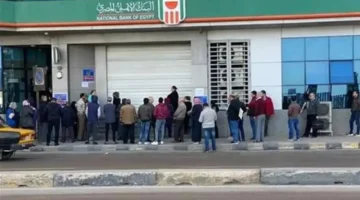 تحديث جديد.. أعلى عائد على شهادات البنك الأهلي البلاتينية